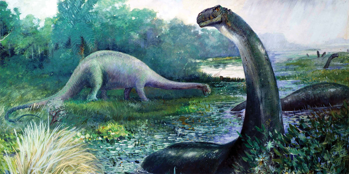A collection of different theories about what the Mokele-Mbembe is